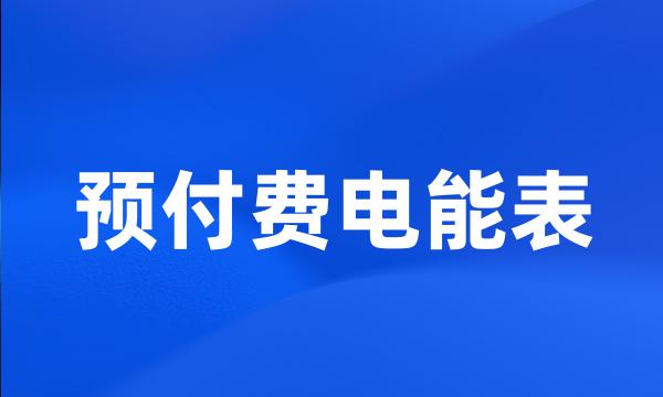 预付费电能表