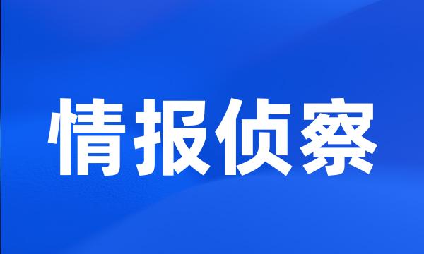 情报侦察