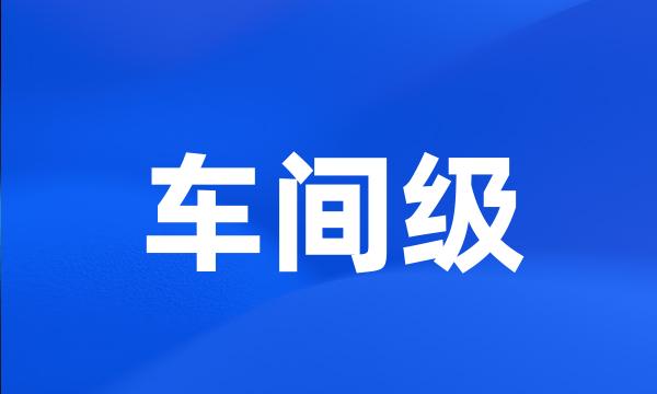 车间级