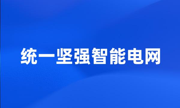 统一坚强智能电网