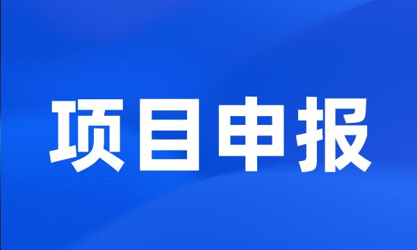 项目申报