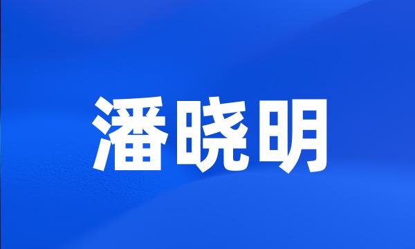 潘晓明