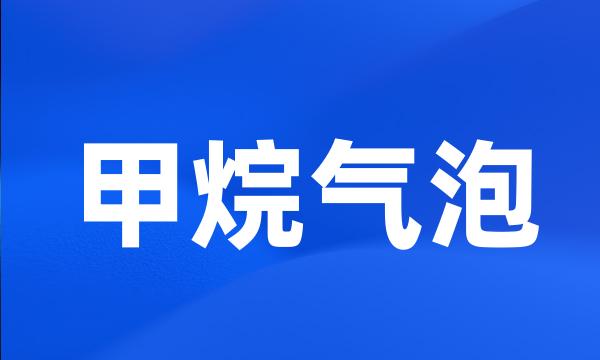 甲烷气泡