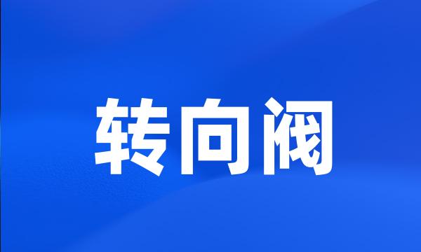 转向阀