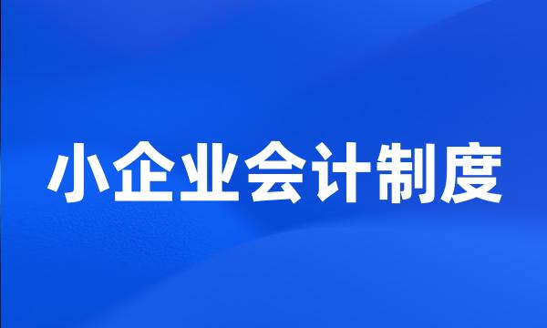 小企业会计制度