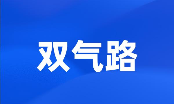 双气路