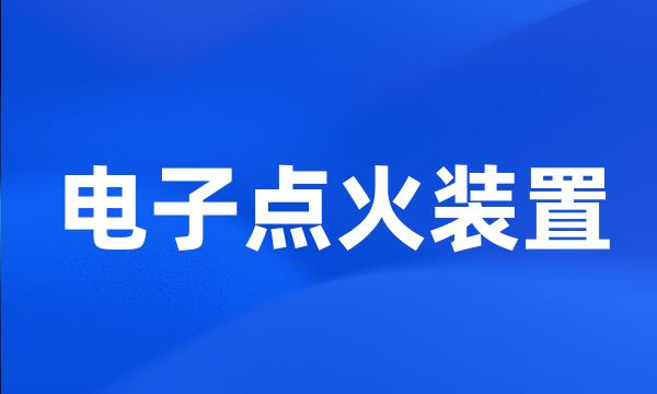 电子点火装置