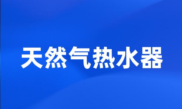 天然气热水器