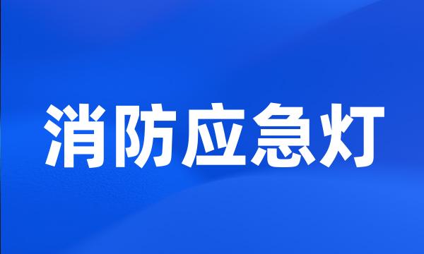 消防应急灯