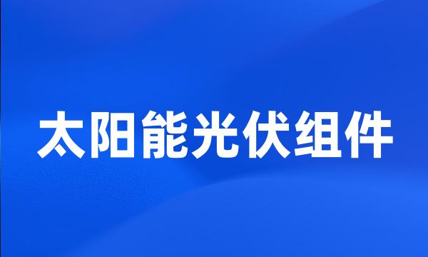 太阳能光伏组件