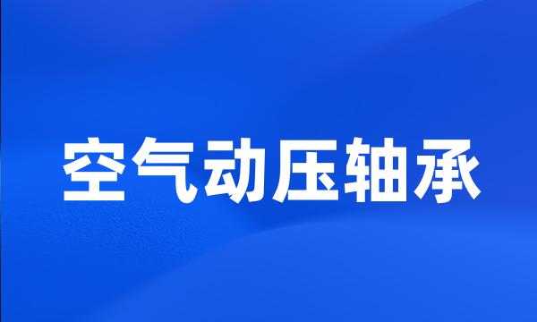 空气动压轴承