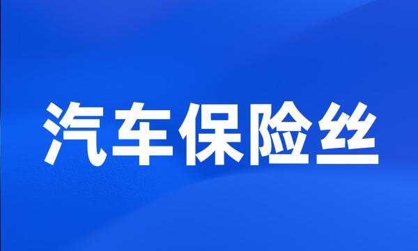 汽车保险丝