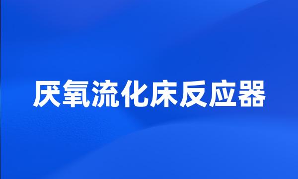 厌氧流化床反应器