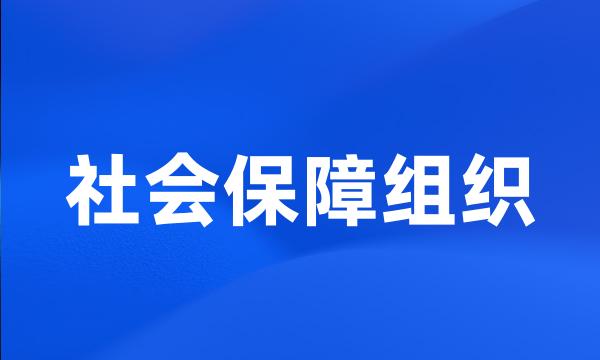 社会保障组织