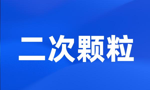 二次颗粒