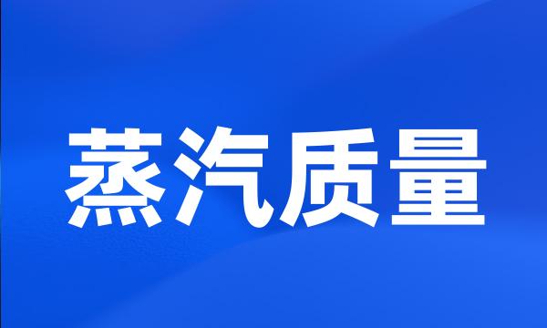 蒸汽质量