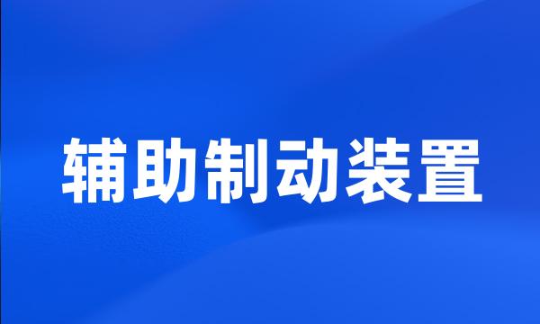 辅助制动装置