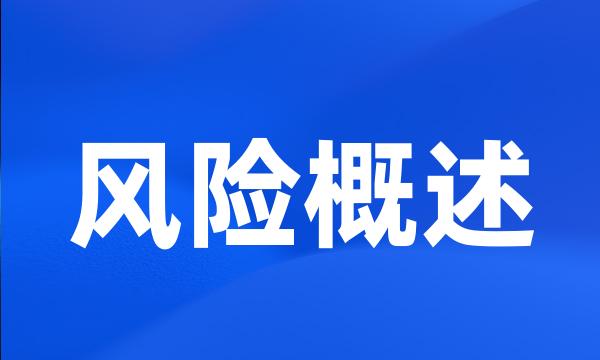 风险概述