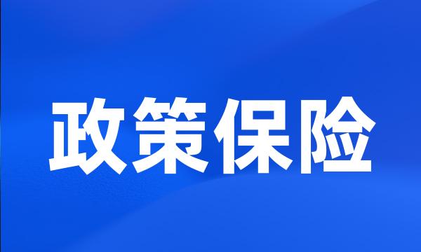 政策保险