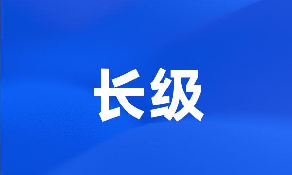 长级