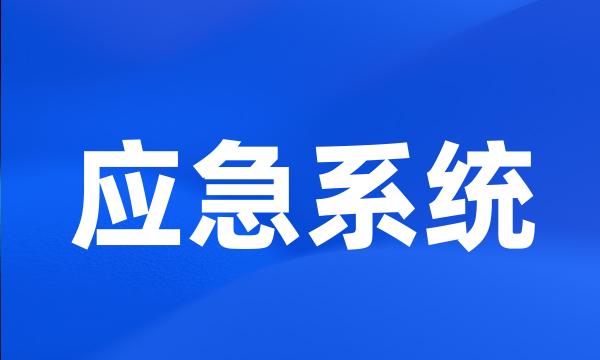 应急系统