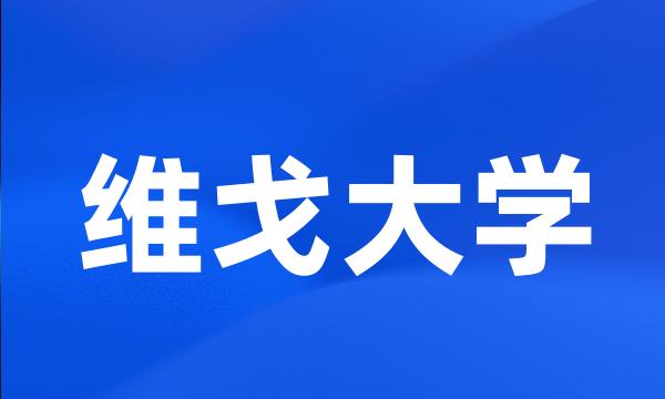 维戈大学