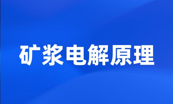 矿浆电解原理