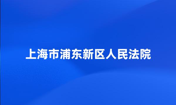 上海市浦东新区人民法院