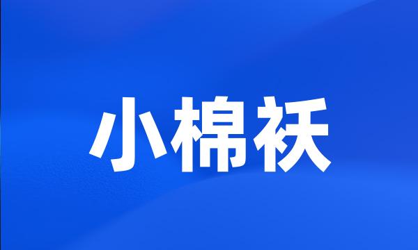 小棉袄