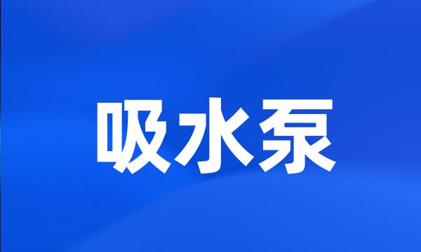 吸水泵