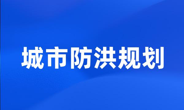 城市防洪规划