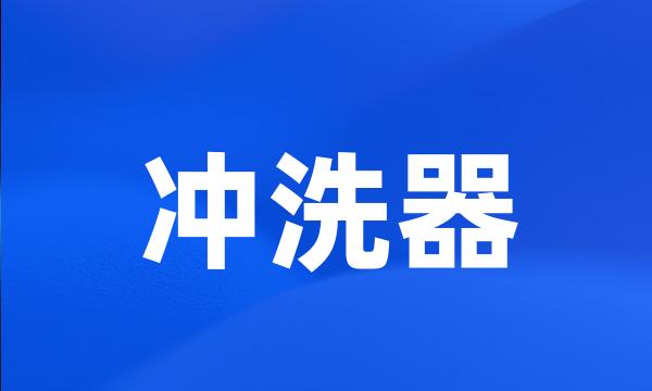 冲洗器