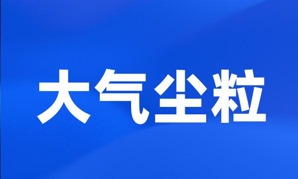 大气尘粒