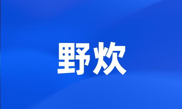 野炊