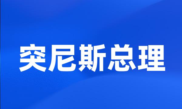 突尼斯总理