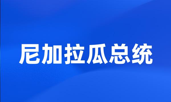 尼加拉瓜总统