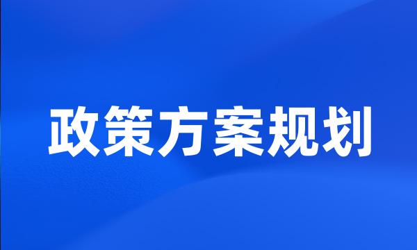 政策方案规划