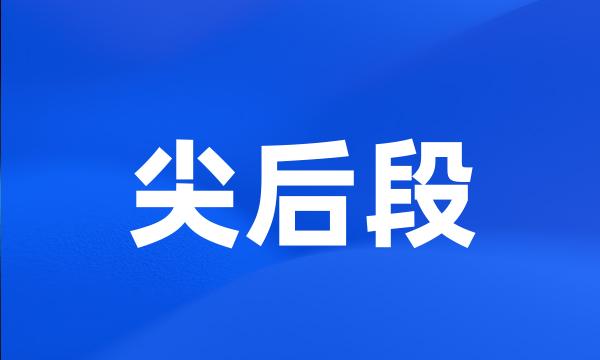 尖后段