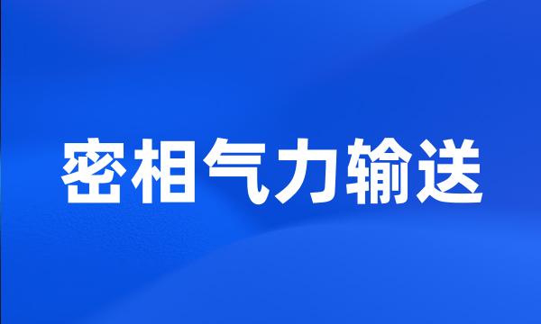 密相气力输送