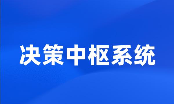 决策中枢系统