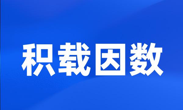 积载因数