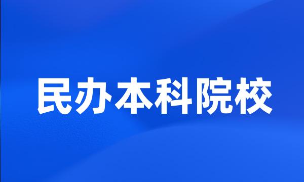 民办本科院校