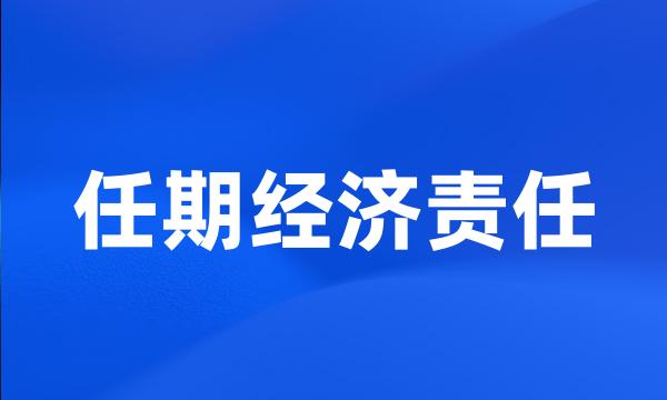 任期经济责任