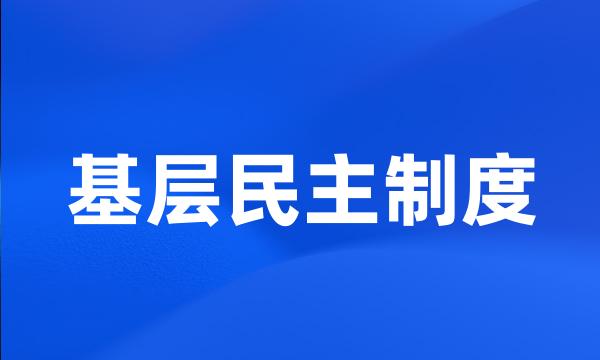 基层民主制度