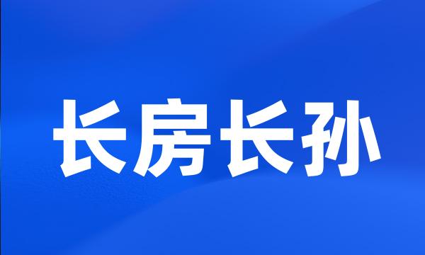 长房长孙