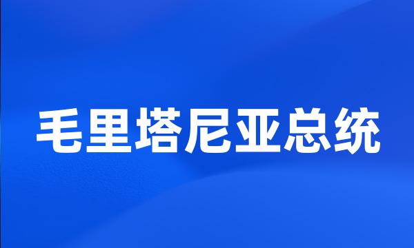 毛里塔尼亚总统