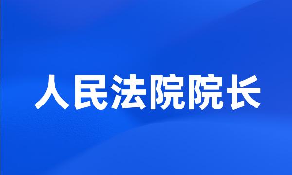 人民法院院长