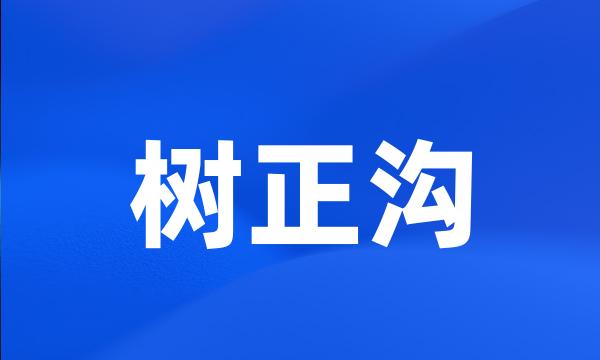 树正沟