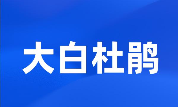 大白杜鹃