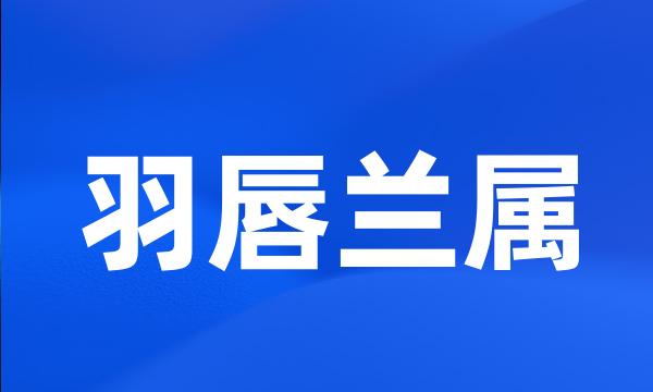 羽唇兰属